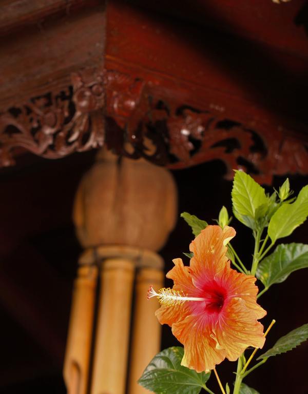 Mahogany Cottage Gili Meno Eksteriør billede