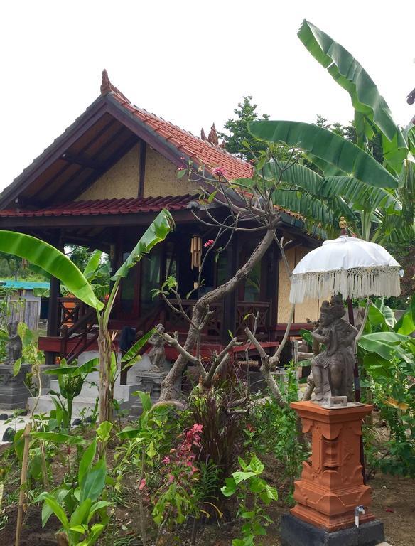 Mahogany Cottage Gili Meno Værelse billede
