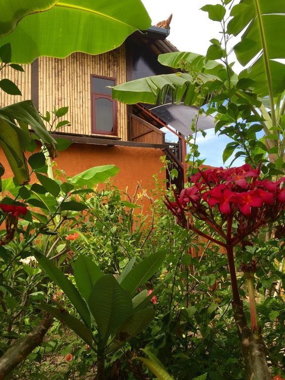Mahogany Cottage Gili Meno Værelse billede