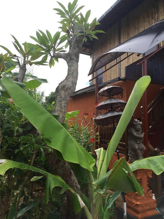 Mahogany Cottage Gili Meno Værelse billede