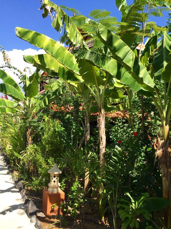 Mahogany Cottage Gili Meno Eksteriør billede