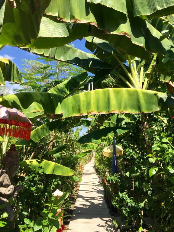 Mahogany Cottage Gili Meno Eksteriør billede